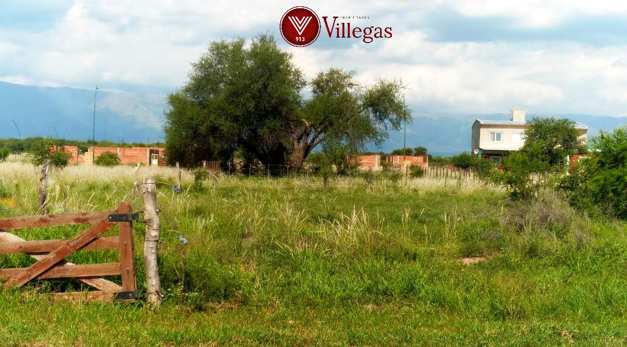Terreno 500 M2 Venta Estacion Conlara Santa Rosa del Conlara