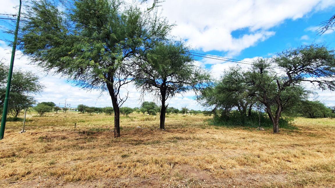 Terreno #1 1000 m2 Estancia larga VENTA Merlo San Luis